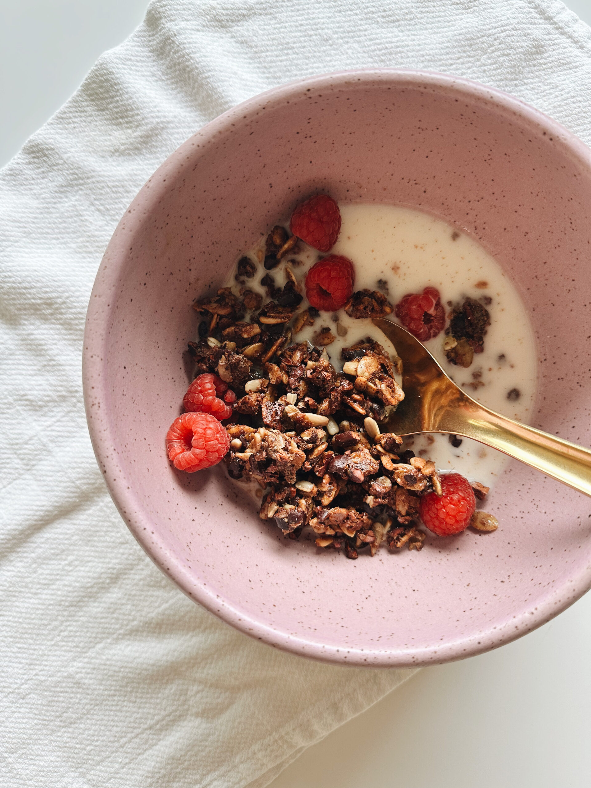 NutFree Cacao Nib Granola Lentine Alexis