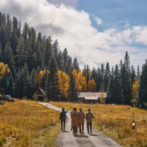 Guided Fall Reset for Go-Getters